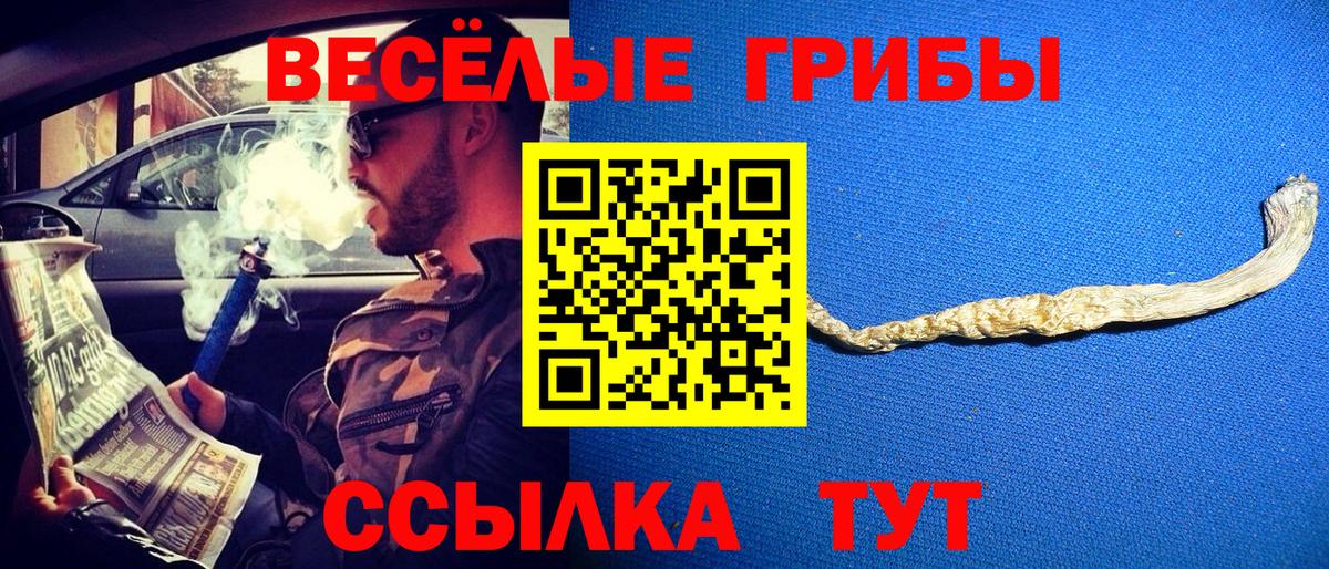Псилоцибиновые грибы Cubensis Фурманов